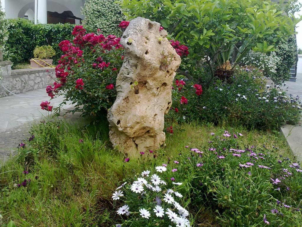 Il Merlo Anacapri  Eksteriør bilde