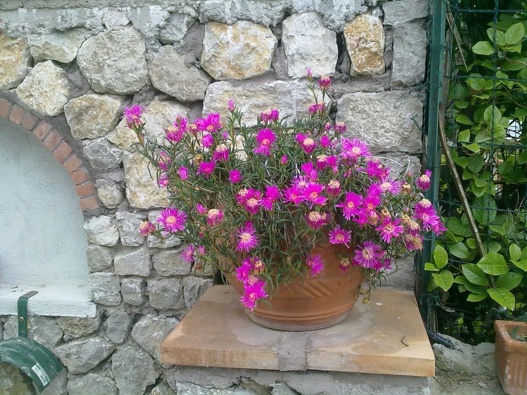 Il Merlo Anacapri  Eksteriør bilde