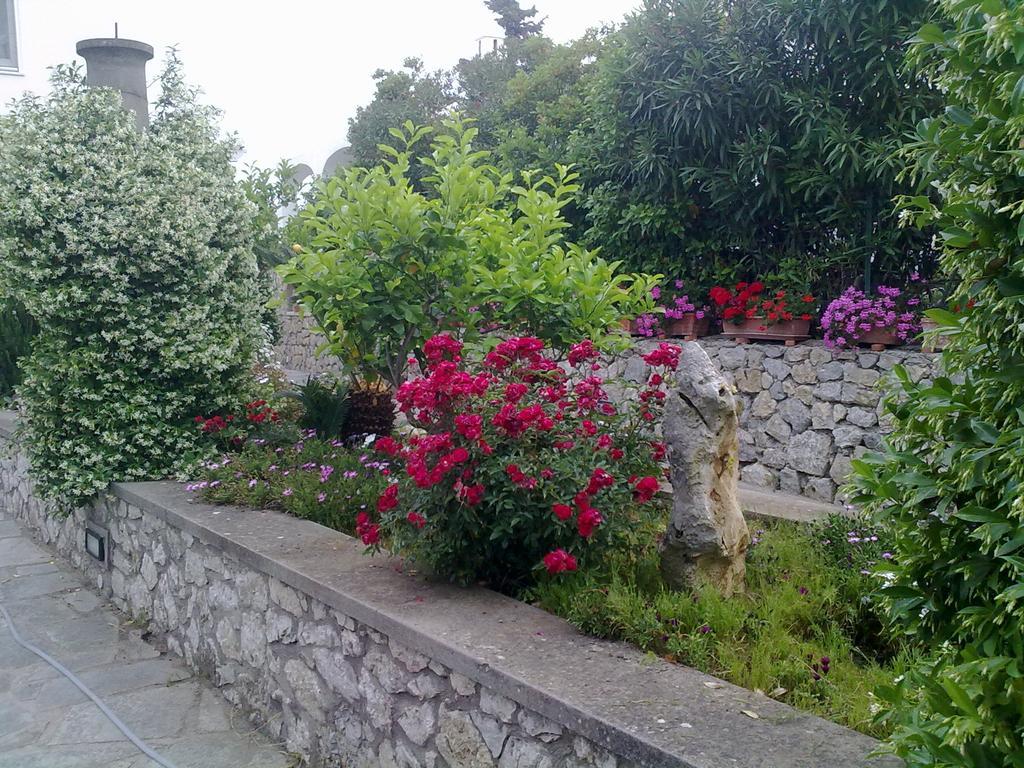 Il Merlo Anacapri  Eksteriør bilde